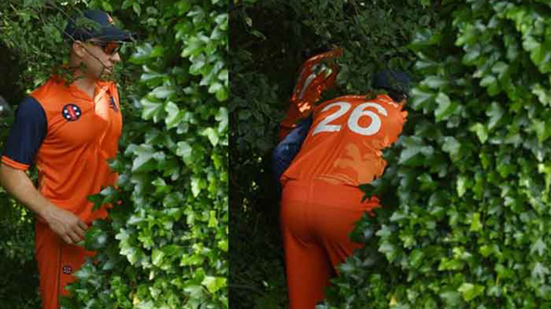 সর্বোচ্চ দলীয় রানের বিশ্বরেকর্ড ইংল্যান্ডের