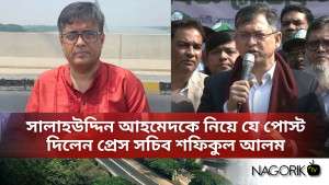 সালাহউদ্দিন আহমেদকে নিয়ে যে পোস্ট দিলেন প্রেস সচিব শফিকুল আলম